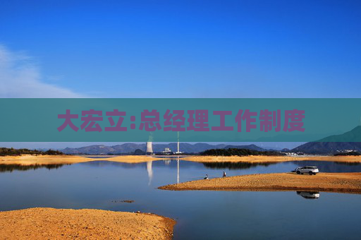 大宏立:总经理工作制度