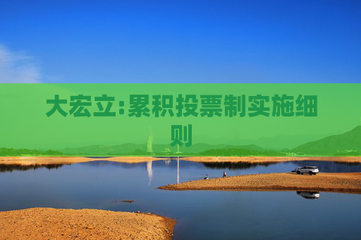 大宏立:累积投票制实施细则