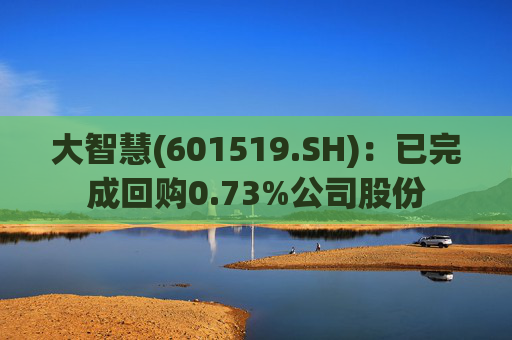 大智慧(601519.SH)：已完成回购0.73%公司股份