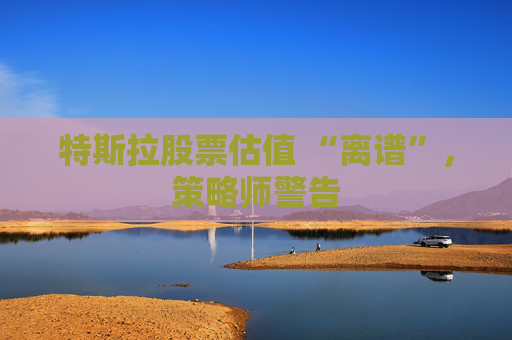 特斯拉股票估值 “离谱”，策略师警告