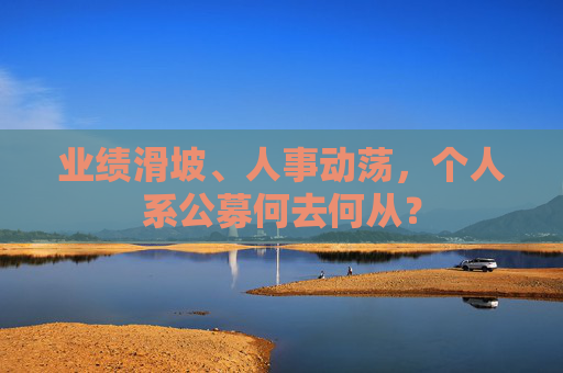 业绩滑坡、人事动荡，个人系公募何去何从？