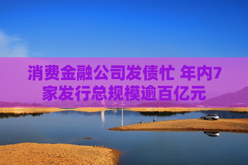 消费金融公司发债忙 年内7家发行总规模逾百亿元