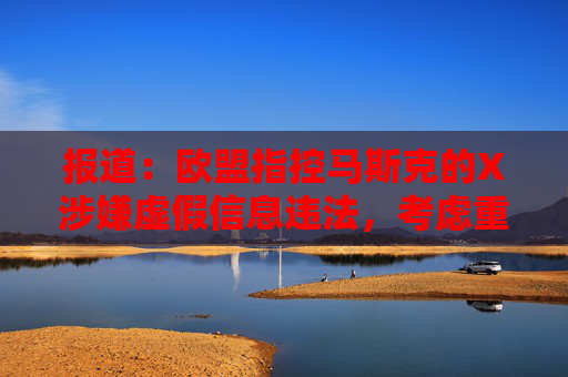 报道：欧盟指控马斯克的X涉嫌虚假信息违法，考虑重罚超10亿美元  第1张