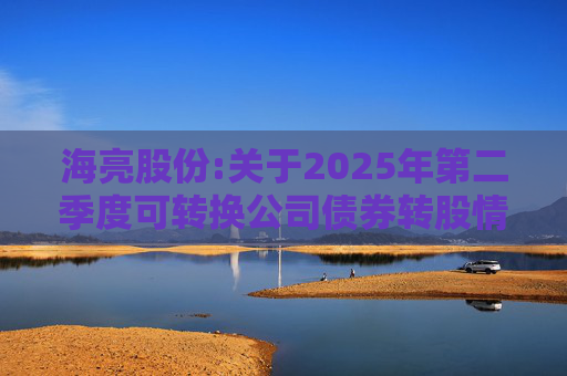 海亮股份:关于2025年第二季度可转换公司债券转股情况的公告