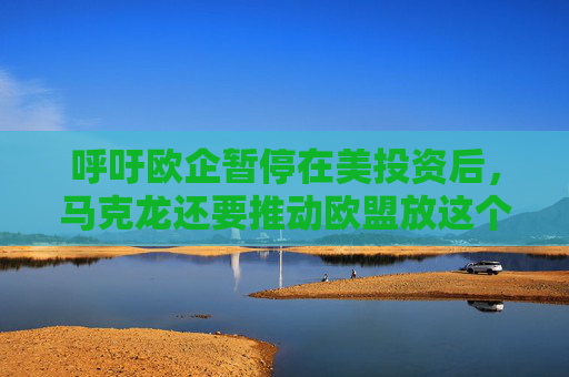 呼吁欧企暂停在美投资后，马克龙还要推动欧盟放这个大招