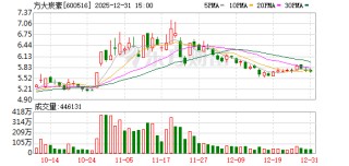600516 终止参与杉杉集团重整