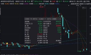 东尼电子实控人高质押是否存爆仓风险？警惕公司债务风险 股价遭财务造假“暴击”