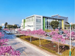 2026国补定调“绿色智能”，华帝超薄智能烟机或成爆款之选