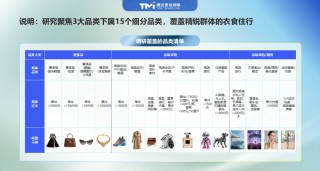 2025中国精锐人群消费图鉴：不躺平、放光彩