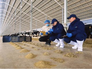 蒙牛发布2025年财报：进化强韧性，蓄力迎增长