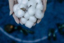 如何获取期权相关消息？消息对期权交易有何影响？