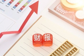 如何理解企业调查事件？保千里调查反映了什么问题？