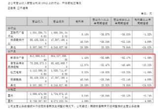 遥望科技四年多亏损34.5亿、短债货币资金缺口超5亿 高流量成本与低毛利业务双重挤压