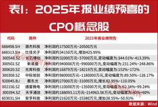 “国家队”积极加仓！这一概念强势领涨A股！