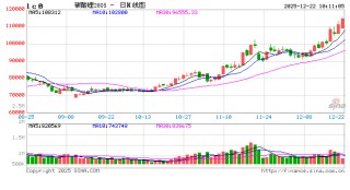 华泰期货碳酸锂周报20251221：供给端消息频发，碳酸锂上涨速度过快