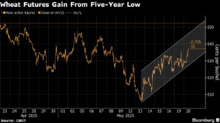 小麦价格上涨 因有迹象显示主要进口国兴趣重燃