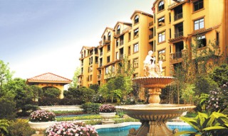 如何完成家居相关布置与操作？家居布置与操作的要点有哪些？