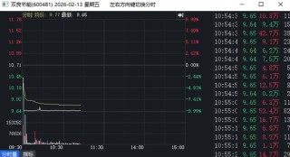 10万股东被摁跌停板！600481，SpaceX“大单”信披玩火？董秘被警示