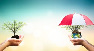 如何进行农业养殖操作？非洲养鸡有哪些要点？