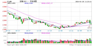 2025年四季度淘汰母猪：价格跟随肥猪震荡，抗跌属性成亮点