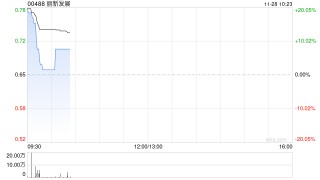 丽新发展于11月28日上午起复牌