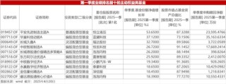 一季度权益基金高仓位运作,科技股成基金经理“香饽饽”