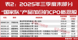 “国家队”积极加仓！这一概念强势领涨A股！