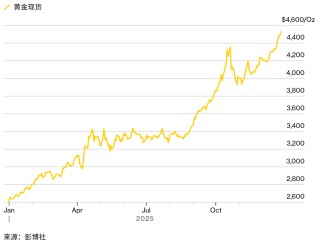 从加密狂潮到做空日债：复盘2025年令市场“心跳停止”的十一大押注