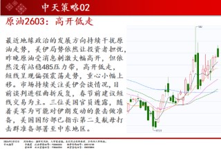 中天期货:商品指数高开震荡 原油高开低走