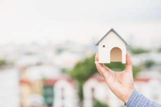 如何确定开期权的标准？这种标准有哪些依据？