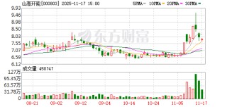 山高环能：无逾期担保情形