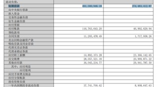 若羽臣成被执行人：猛砸销售费用驱动业绩增长，负债激增现金已难覆短债