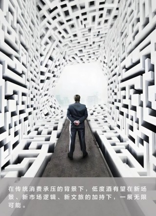 撕开“去品类化”口子，名酒低度化掀起“破界”浪潮