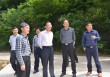 什么价？的价格走势受什么影响？