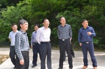 什么价？的价格走势受什么影响？