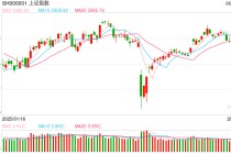杨德龙：科技行情再次启动 有望贯穿全年