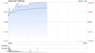 中国石油连续第二个交易日涨停，成交额超95亿元
