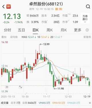 卓然股份IPO募资9.2亿元遭违规挪用，实控人及公司被证监会立案！