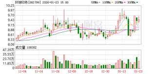 环球印务：2025年年度业绩预告