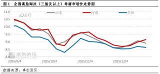 2025年四季度淘汰母猪：价格跟随肥猪震荡，抗跌属性成亮点