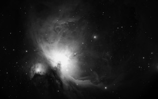 如何了解期权清算公司与标准化期权的关系？这种关系对交易有何影响？