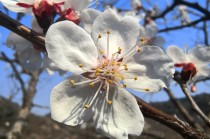 万亿公募汇添富：“选股专家”变“被动之家”