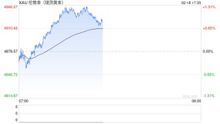 世界黄金协会美洲区CEO解读2026年金价新逻辑：地缘风险成首要因素，全球央行连续16年净买入