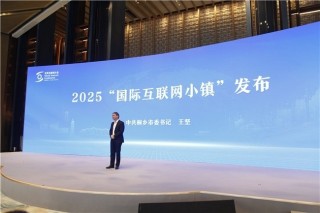 十年织网，乌镇蝶变：从水乡客厅到AI共生体的文明实验