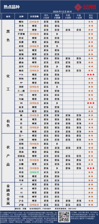 中天策略:12月30日市场分析