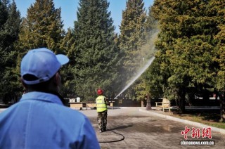 北京：多措并举治理致敏花粉