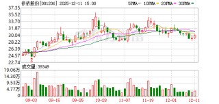 依依股份：截至2025年12月10日股东总户数为17277户