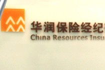 如何理解保险购买相关要点？购买要点对保险选择有何影响？