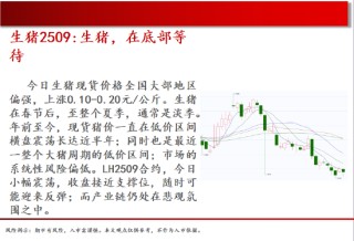 中天期货:螺纹再下台阶 棉花震荡下行