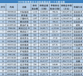 新面孔突围！中际旭创超越宁德时代，登顶主动权益基金去年末第一重仓股